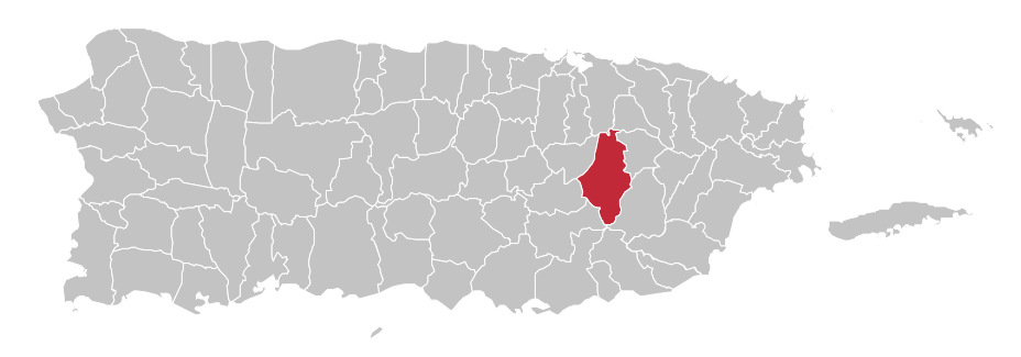 farmacias en caguas