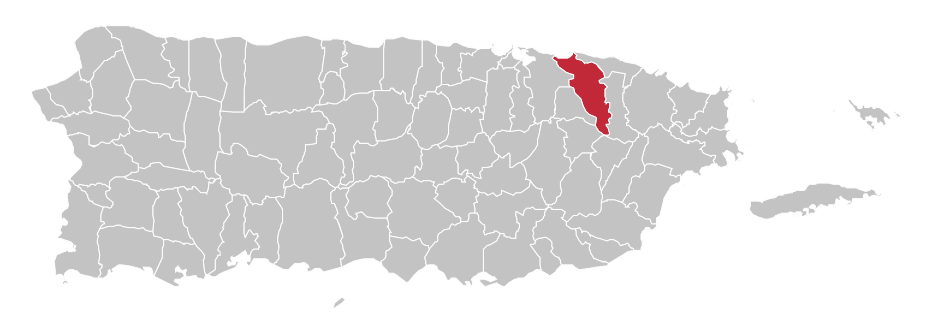 farmacias en carolina