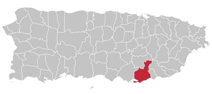 farmacias en guayama