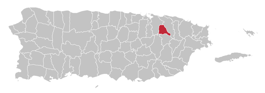 farmacias en trujillo alto
